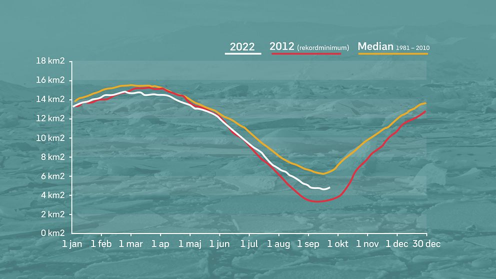 Arktisk yta över året. Gul linje är medianvärdet åren 1981-2010, Röd linje år 2012, då den hittills minsta isytan uppmätts. Vit linje är mätvärden för 2022.