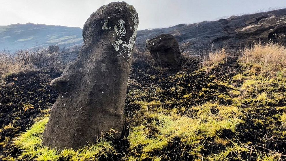 Stenstatyerna av Rapa Nui-kulturen på Påskön står än trots att en brand härjade i området under torsdagen.