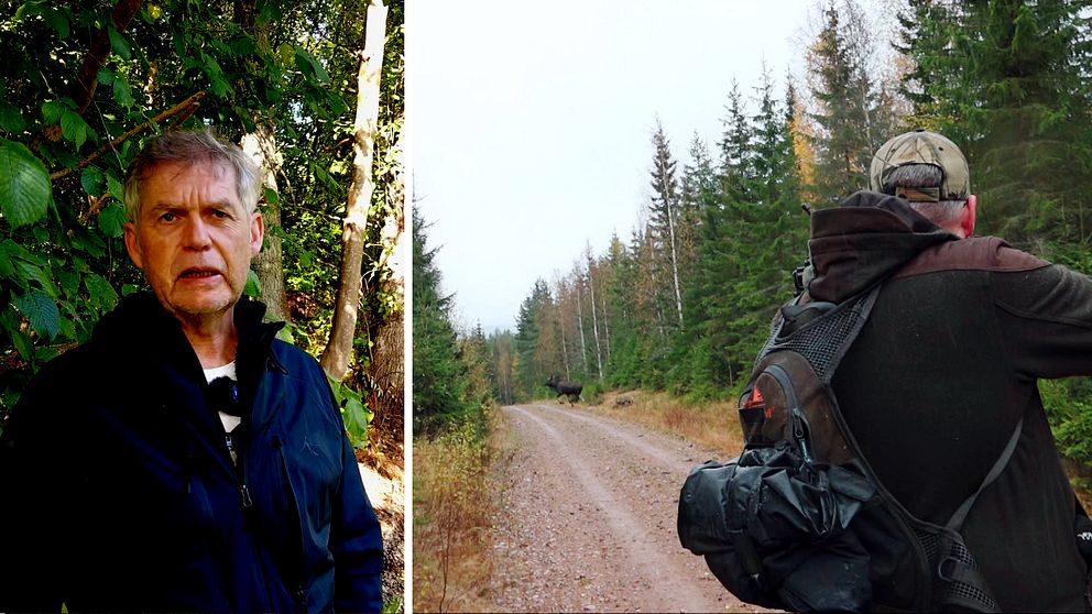 Martin Broberg på Länsstyrelsen i Halland och en genrebild på en jägare som siktar mot en älg i skogsmiljö.