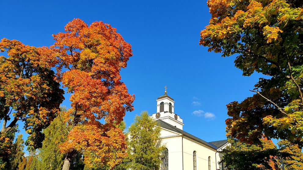 färgspraknde träd under hösten under en solig dag. Träden är på höger och vänster sida i bild och i mitten syns Bjursås kyrka – i bakgrunden en klarblå himmel