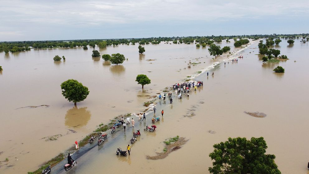 En bild från slutet av september visar hur människor fick vada genom vattenmassorna som samlats i staden Hadeija, Nigeria.