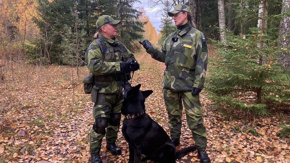 Två kvinnor i kamouflagedräckter och en svart hund, tränar för att kunna jobba i Hemvärnet i Gävleborg.