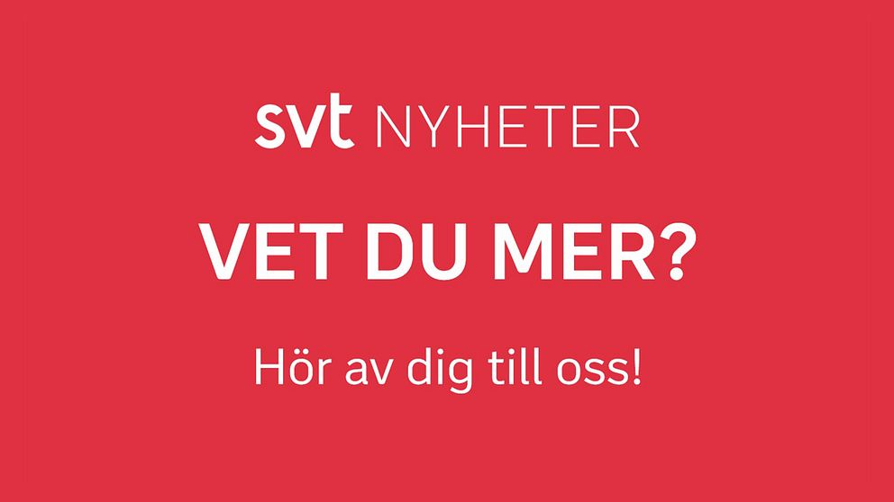 grafikbild med röd bakgrund och texten ”SVT nyheter, vet du mer? Hör av dig till oss!”