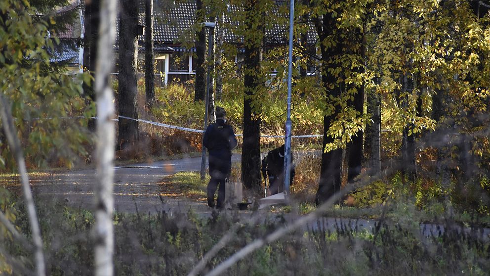 två personer ses på håll vid cykelbana i skogsområde, hus i bakgrunden