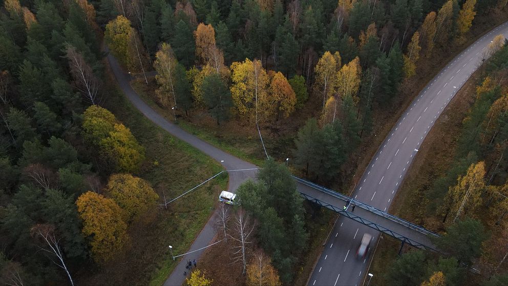 Drönarbilden visar avspärrningstejpen intill gångbron och genom skogen efter dödsskjutningen i Sandviken.