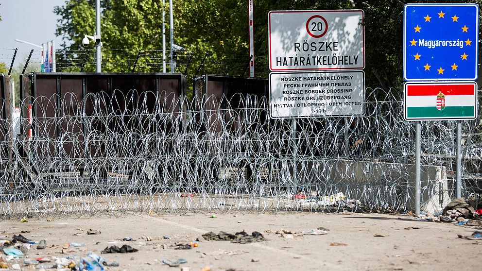 Taggtråd vid gränsövergången mellan Ungern och Serbien, som nu ska öppnas igen.