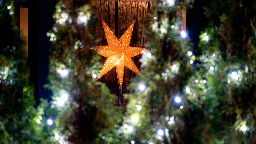 en julsjärna och julgransbelysning framför