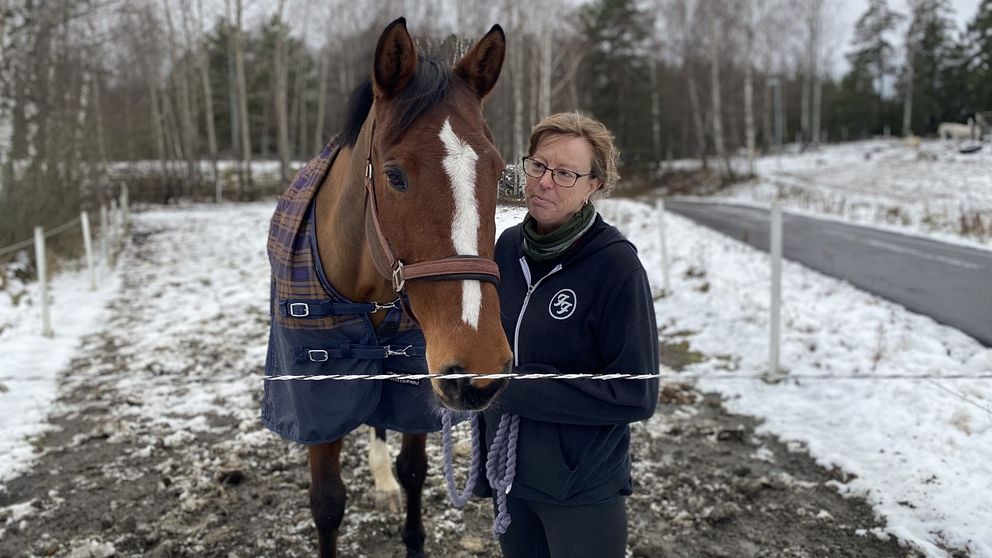 SVT träffade ridskoleeleven Ellis Room med hästen Gucci. Som barn blev hon rädd för att rida och slutade med hästar. I klippet berättar hon vad Arvika Ridklubb gjort för henne.