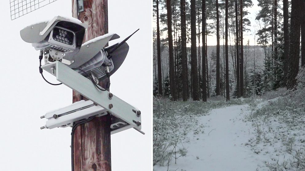 Bild på övervakningskamera på en stolpe. Även bild på en stig i en skog. Kanske en av vägarna som smugglarna mellan den norska och svenska gränsen har hittat efter pandemin.