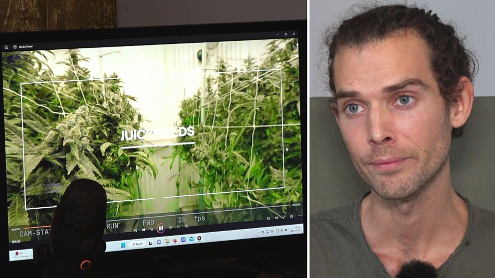 Daniel Johansson i Borås berättar för SVT varför han stämmer Mark Zuckerberg – och hur mycket pengar han har förlorat i cannabisbluffen.