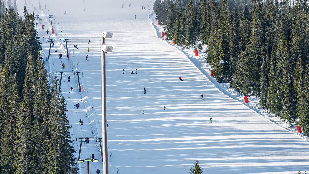 Bild från skidort i Sverige. Människor står i en ankarlift och åker utför i alpin skidbacke.