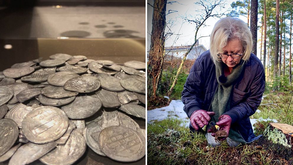Arkeologen Louise Evanni sitter på huk på platsen där hon en gång fann den så kallade Sundvedaskatten, 452 silvermynt begravda av vikingar.