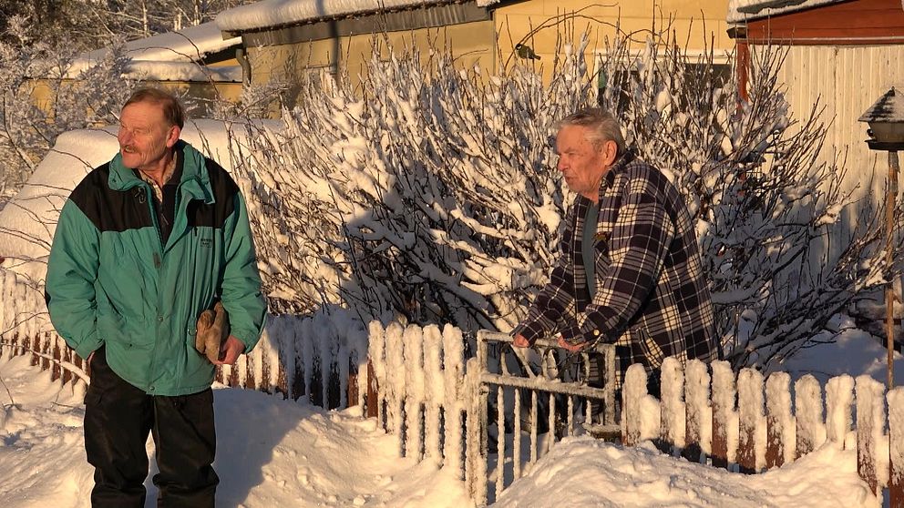 Pensionären Gunnar Englund i Vänsjö står och småpratar med sin granne. De är två äldre män, snötäckt mark, staket och buskar i solsken.