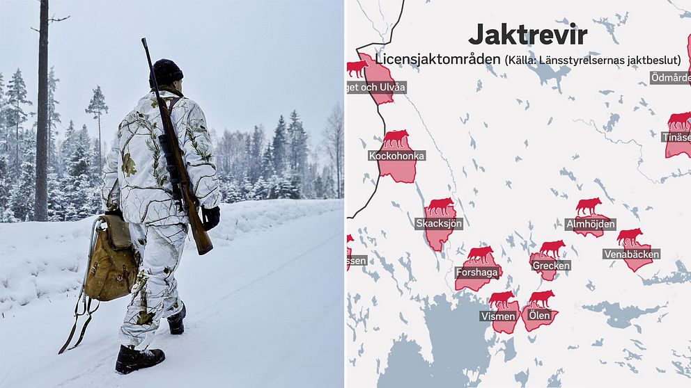 En jägare går i ett vinterlandskap, bilden är tagen 2011. Delad bild med jaktreviren utmärkta på en karta, områden i Värmland, Dalarna, Örebro, Gävleborg och Västmanland omfattas.