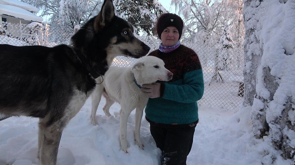 Sandra Gomeringer står utomhus i snön med två draghundar. Hon håller om en vit hund och framför den står en brun hund.