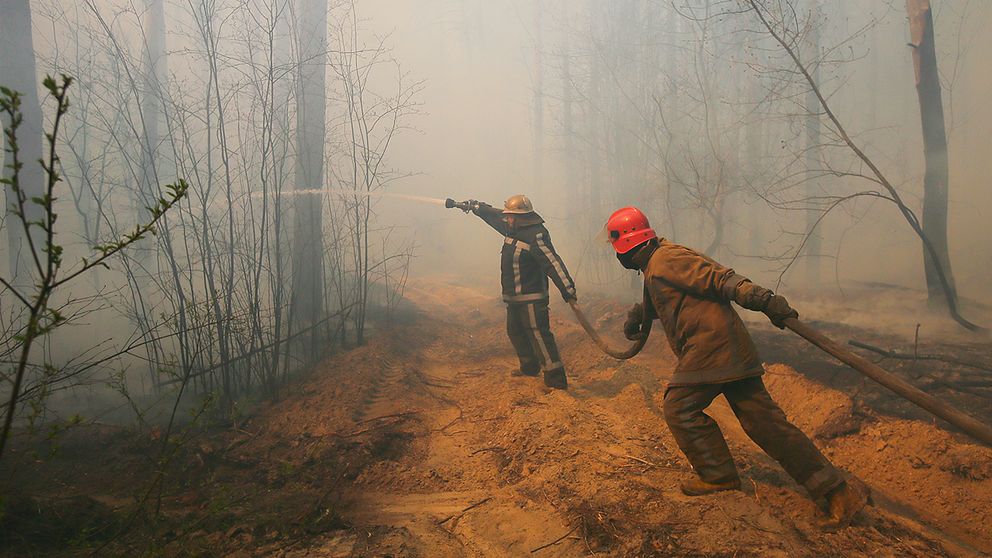 Ukrainska brandmän slåss mot en skogsbrand som brutit ut Ragovka, nära uteslutningszonen runt kärnkraftverket i Tjernobyl.