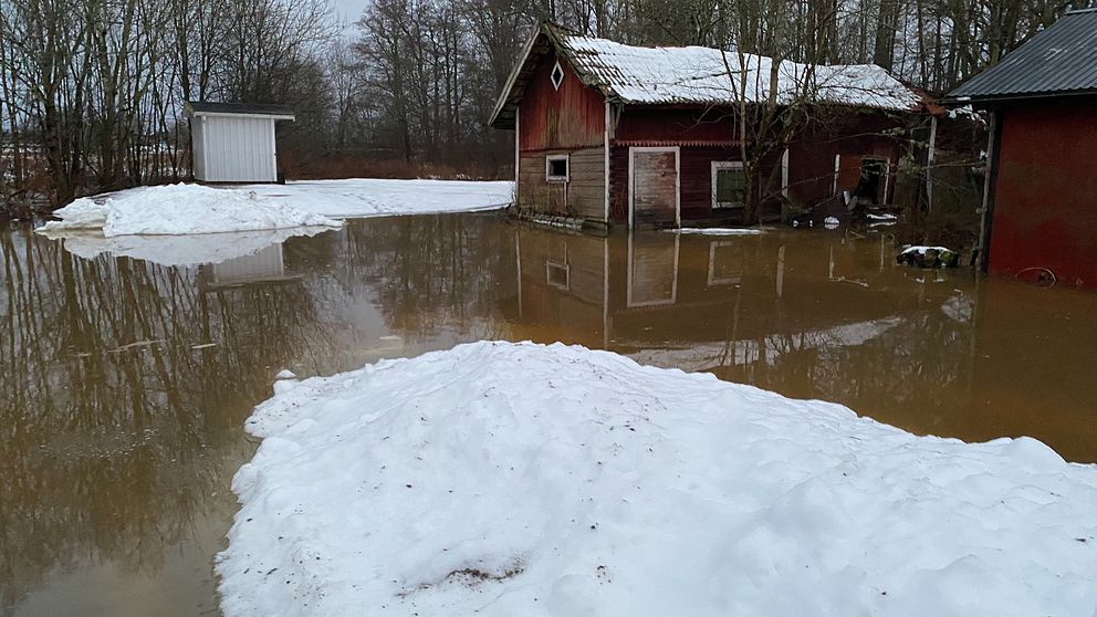 Översvämmad gårdsplan med uthus i vatten.