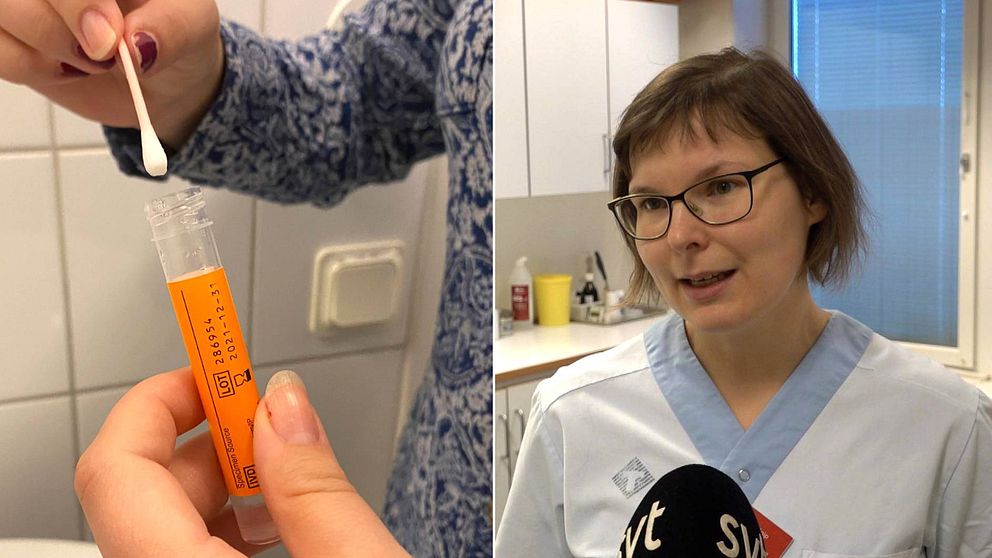 Teststicka för HPV-virus. Sara Knip, processledare för gynekologisk cellprovskontroll i Region Västerbotten.