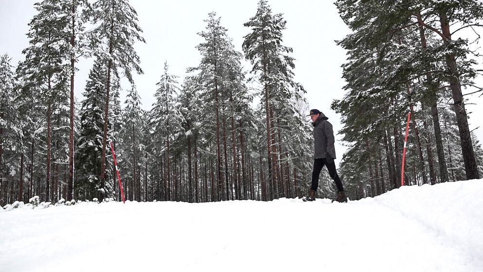 En bild på en man, tagen på avstånd, som går i snö.