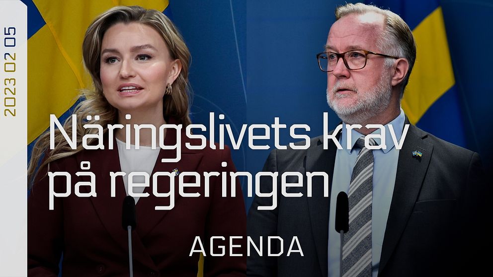 Ebba Busch (KD), energi- och näringsminister och Johan Pehrson (L), arbetsmarknads- och integrationsminister.