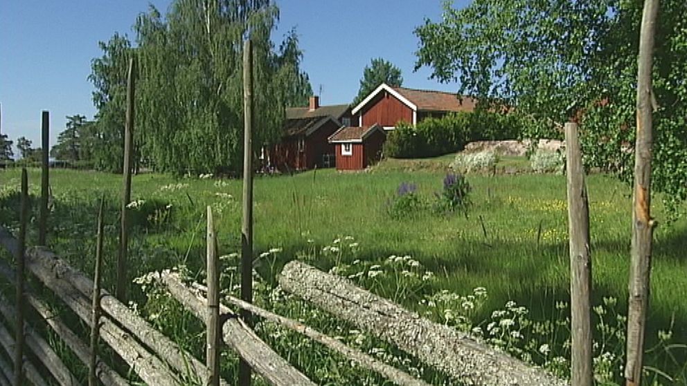 Strålande vackert sommarväder någonstans i Värmland den 21 juni.