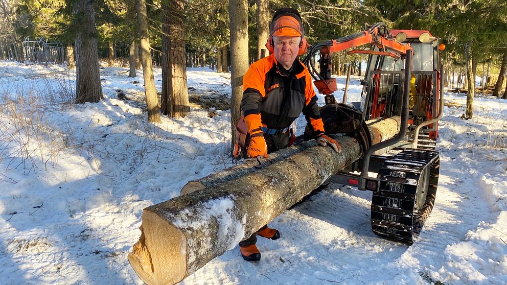 Örjan Nilsson i Lit står vid en skogsmaskin i sin skog, iklädd arbetskläder och skyddshjälm och ser allvarlig ut när han kommenterar de stigande skogspriserna.