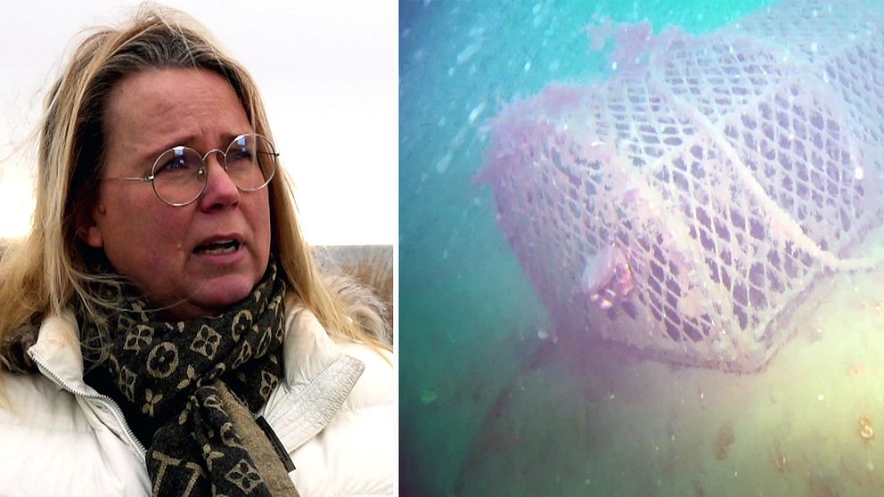 Lisa Bredahl Nerdal, utredare Havsmiljöenheten, Havs- och vattenmyndigheten och bild på en hummertina, eller så kallad spöktina, på havets botten.
