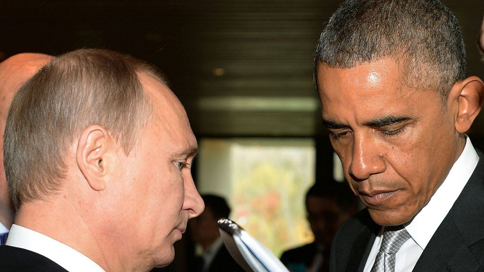 Inte så hjärtligt: Putin möter – kort – Obama i november 2014