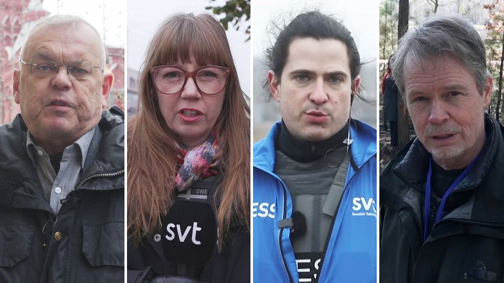 Fyrdelad bild på fyra av SVT:s korrespondenter. Från vänster: Bert Sundström, Elin Jönsson, Carl Fridh Kleberg och Bengt Norborg.