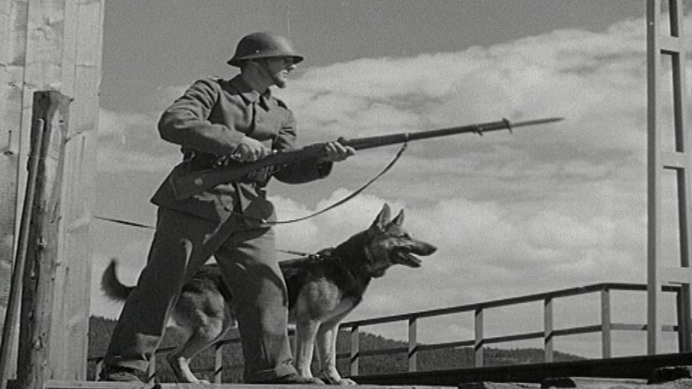 Svartvit bild på soldat och hund, från kortfilmen Våra hundar i fält