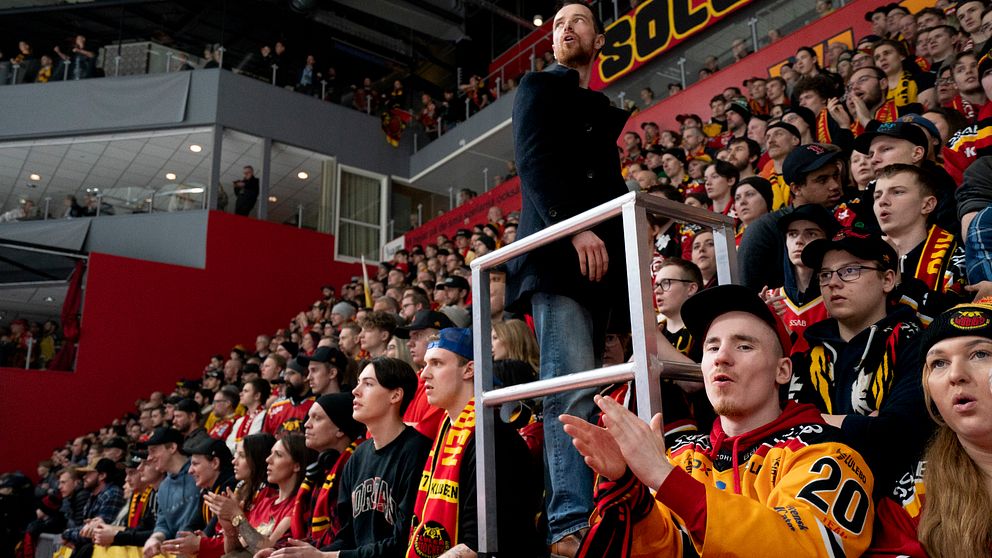 publik som hejar på Luleå, i en stor ishall, många har Luleås supporterfärger på sig i svart, gult och rött.