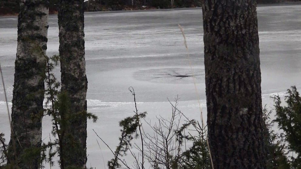 Isvak i en sjö mellan träd