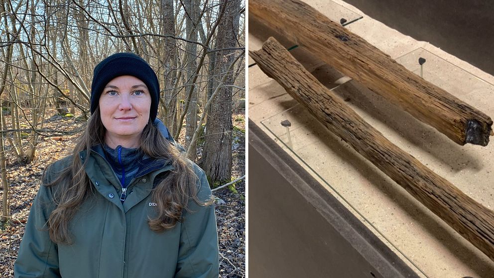 Bild på kvinna framför skogsbryn, kvinnan heter Eva Eliasson och är arkeolog. Samt bild på trädetaljer från utgrävningen.