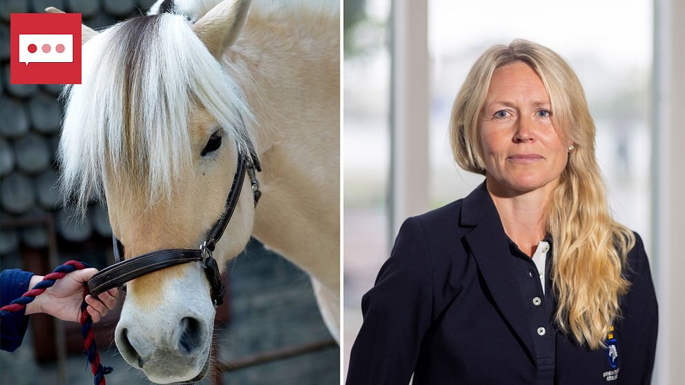 Tvådelad bild. Till höger en häst, till vänster Anna Reilly, på Svenska Ridsportförbundet.