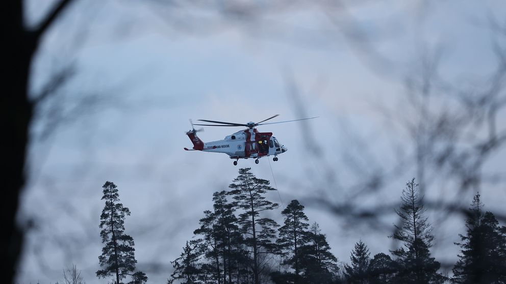 Sjöfartsverkets räddningshelikopter flyger över skog med vinschen ute.