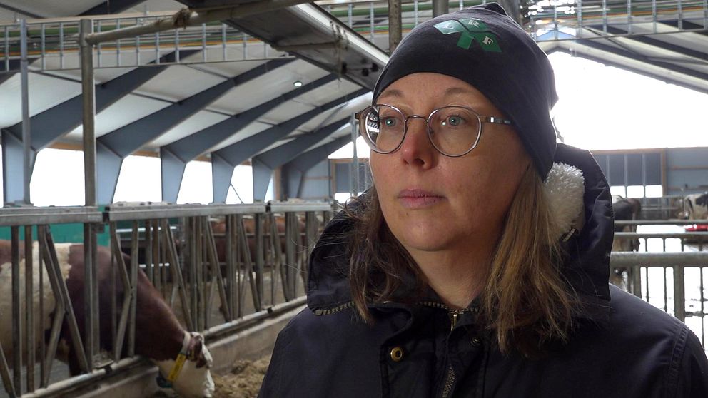 Bild på en kvinna med mörk jacka, mössa och glasögon som står i en ladugård. Kvinnan heter Linda Ericsson och pratar om varför det är rekordlågt intresse för att investera långsiktigt bland lantbrukare.