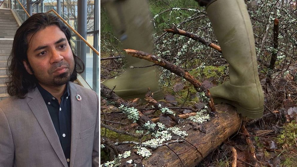 Tvådelad bild: Forskningsledaren Avit Bhowmik från Karlstads universitet och en person som går i skogen med gröna gummistövlar.