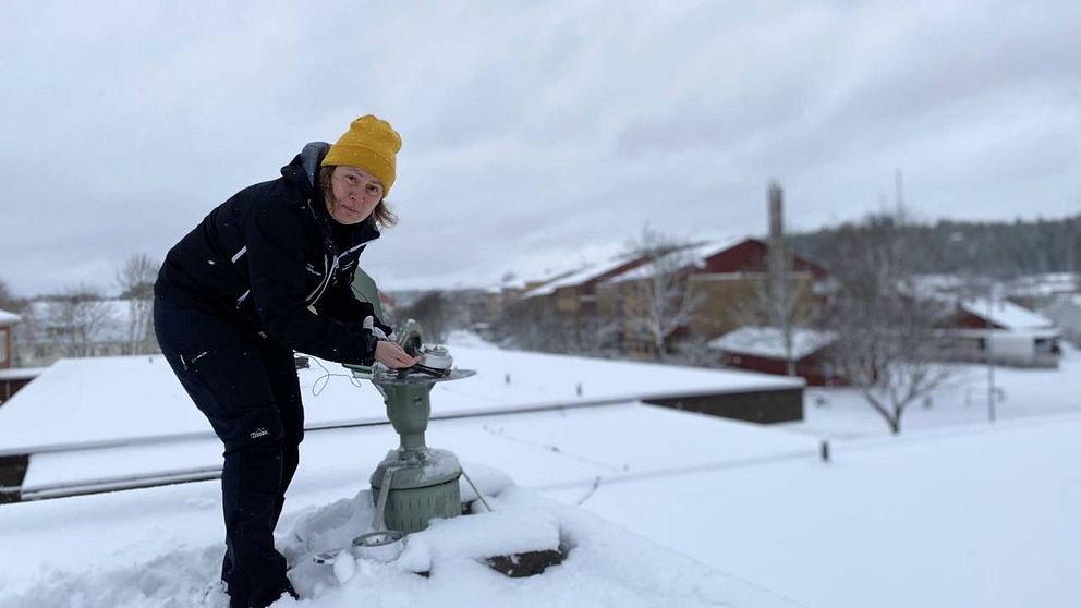 Katrin Edholm, miljö och hälsoskyddsinspektör, står vid en pollenfällla på ett snöigt tak i Forshaga.