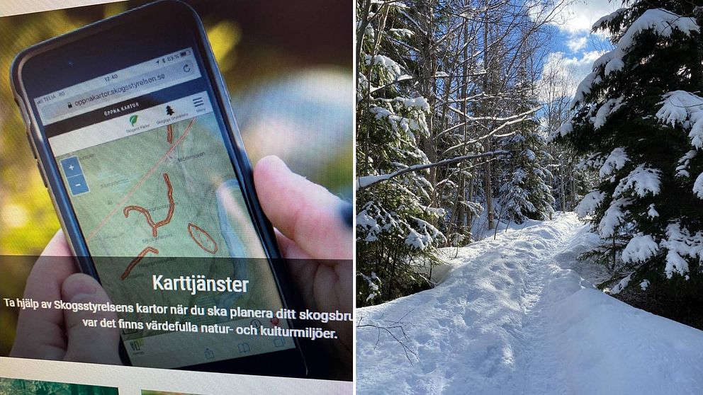 Delad bild med dels en mobil som visar en karta, dels en bild som visar stig genom snöklädd skog.