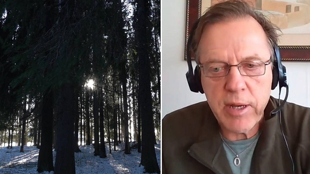 Delad bild, dels på skog och dels på man som är professor.