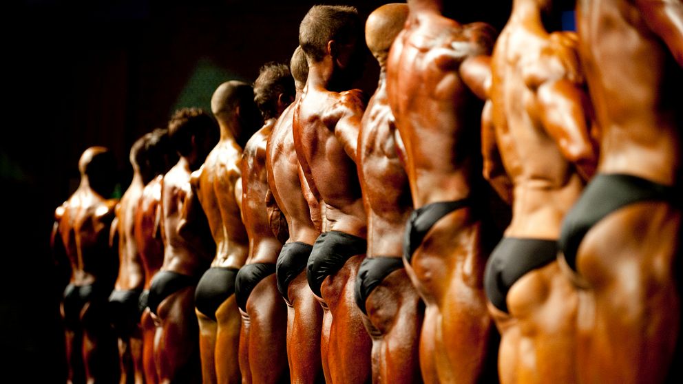 Bodybuilders poserar på rad i tävlingsställning, visande sina ryggmuskler.