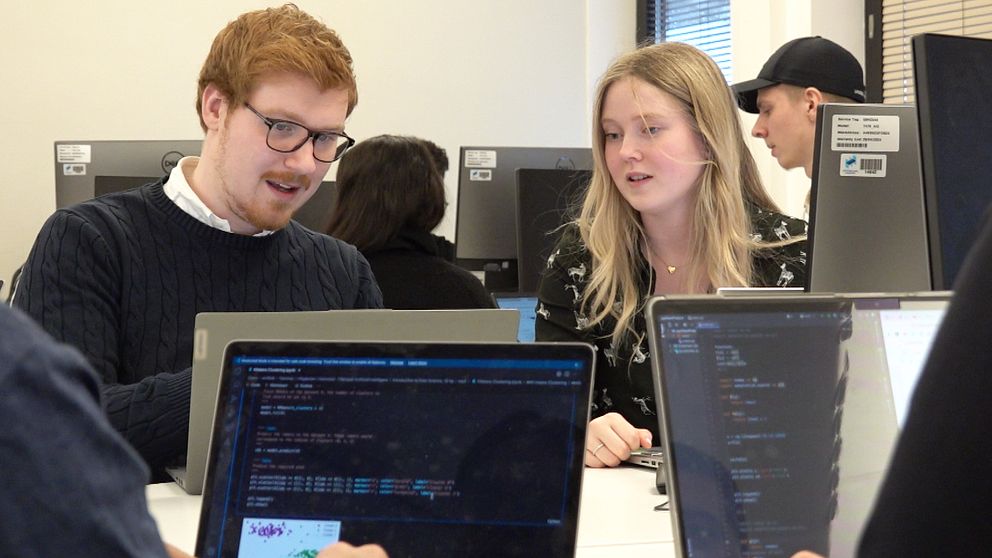 Två studenter som studerar ”Tillämpad artificiell intellegens” på höskolan i Halmstad sitter vid sina datorer.