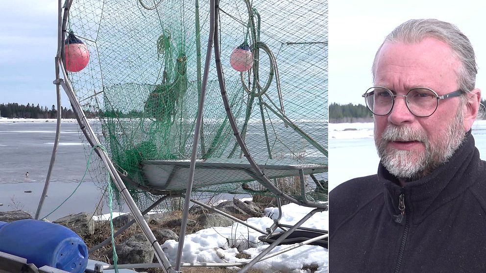 Till vänster: Ett fiskenät vid havet, som fortfarande har is. Till höger: Strömmingsfiskaren Björn Lundgren i Rovögern utanför Umeå stor vid en havsvik, iklädd glasögon, svart fleecetröja och har grått hår.
