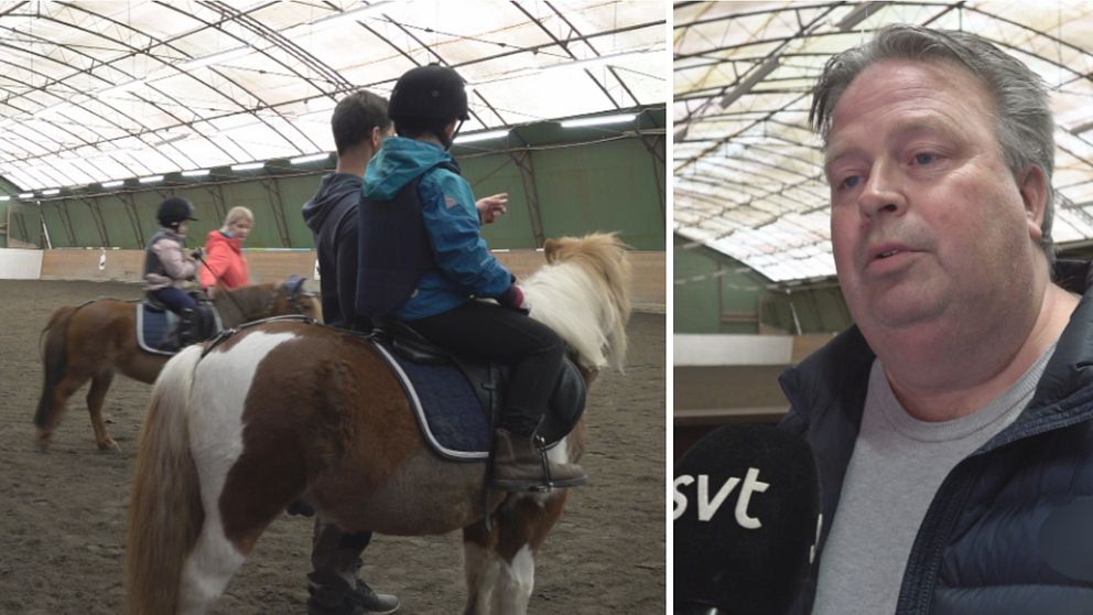 Delad bild. Barn som rider på hästar och en man som blir intervjuad.