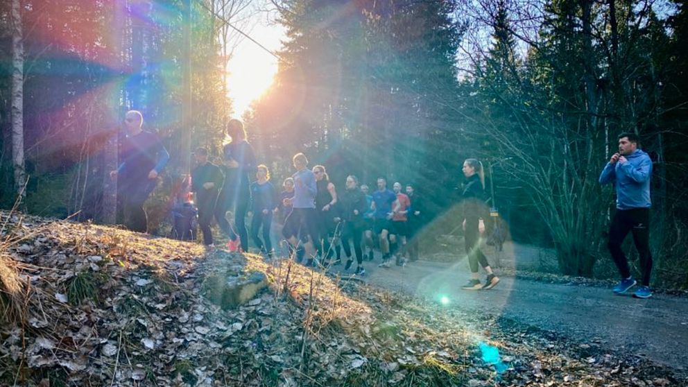 Bild på en grupp med löpare som springer upp för en slänt. De är i skogen och solen lyser bakom dem.