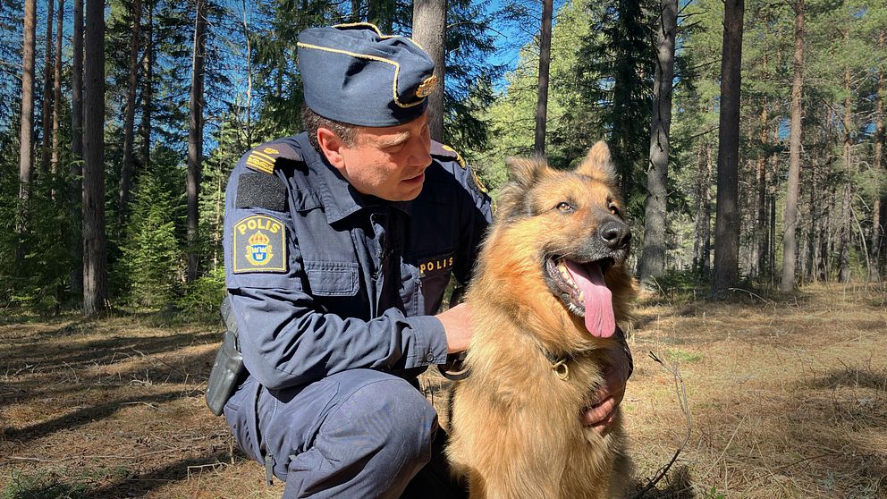 Polisen Jörgen Modin sitter med knä i backen i skogsmiljö och klappar om sin schäferhund Ärras.