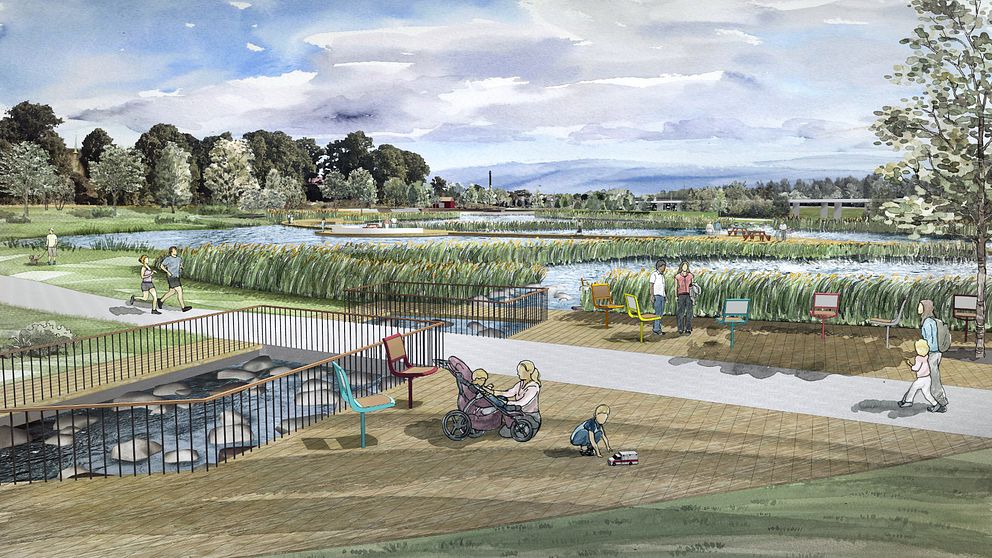 Illustration på hur den nya våtmarkparken i Vallentuna se ut med dammar, gångstråk och sittplater.