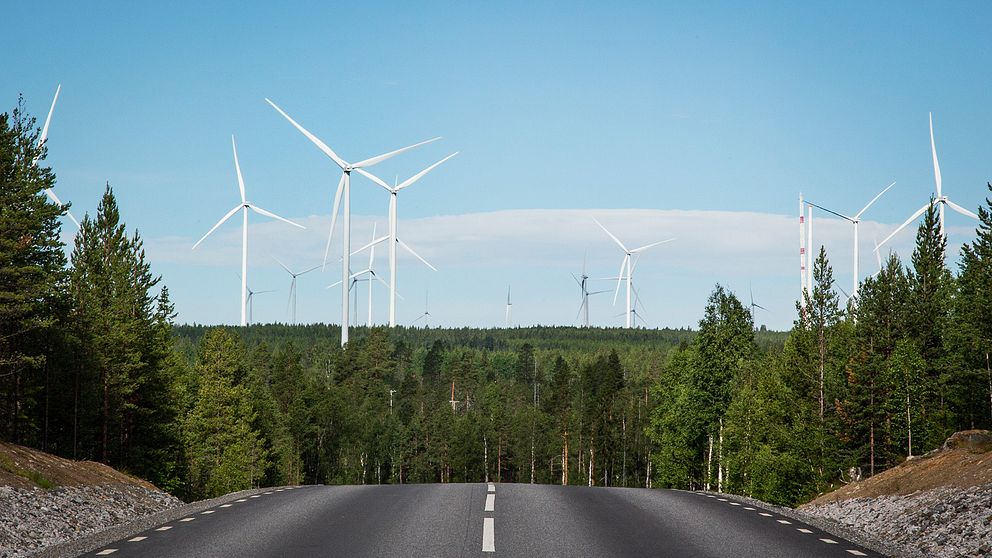 Vindkraftsnurror ses på vägen mot byn Koler i Markbygden, Norrbotten. Europas största vindkraftspark på land.