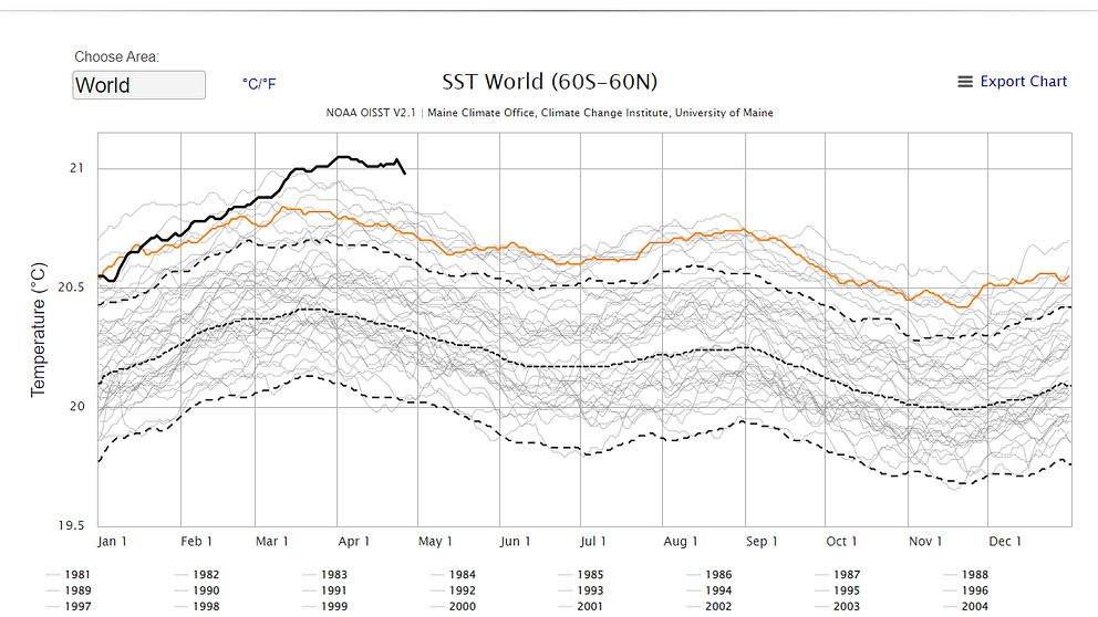 Den tjocka svarta linjen visar temperaturens utveckling i år. Den orangea linjen visar utvecklingen i fjol. Kurvorna för alla år sedan 1982 går att utforska på University of Maines sajt Climate Reanalyzer.
