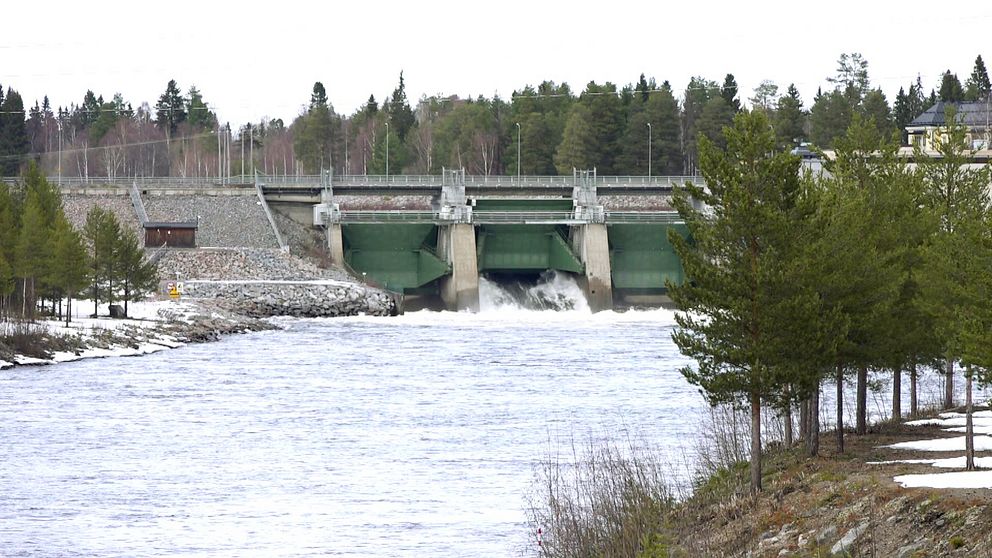 Vårflod strömmar vid vattenkraft i Boden.